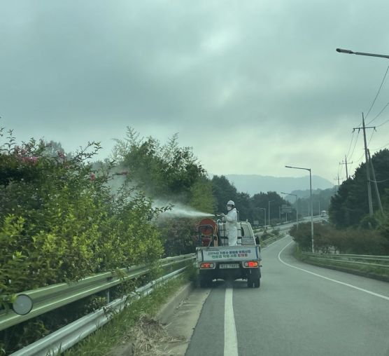전남지역 가로수방제③