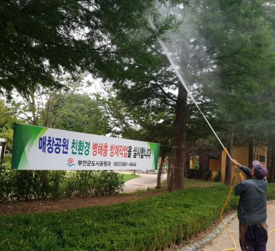 전북지역 가로수방제