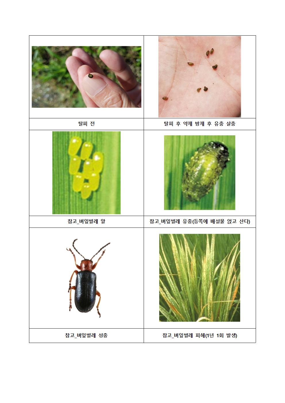 첨부된 이미지