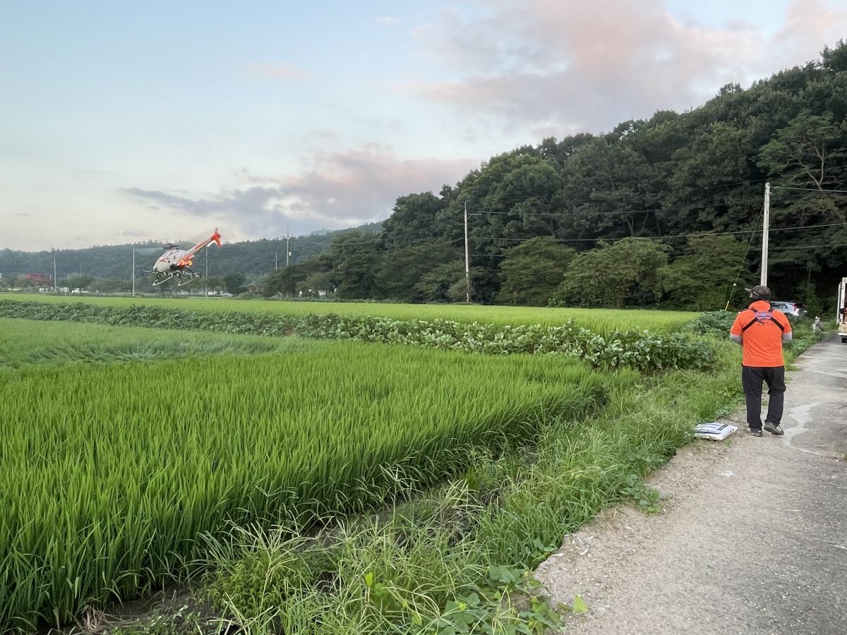 첨부된 이미지