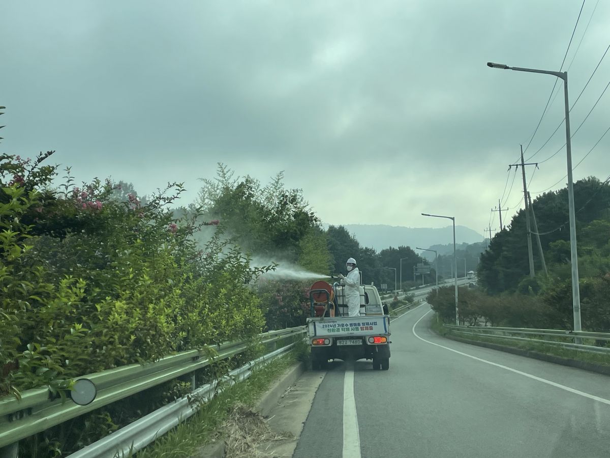 첨부된 이미지