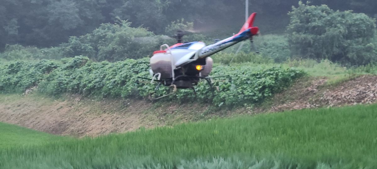 첨부된 이미지